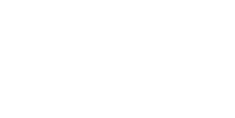 TrueBlue Consulting, LLC logo in white