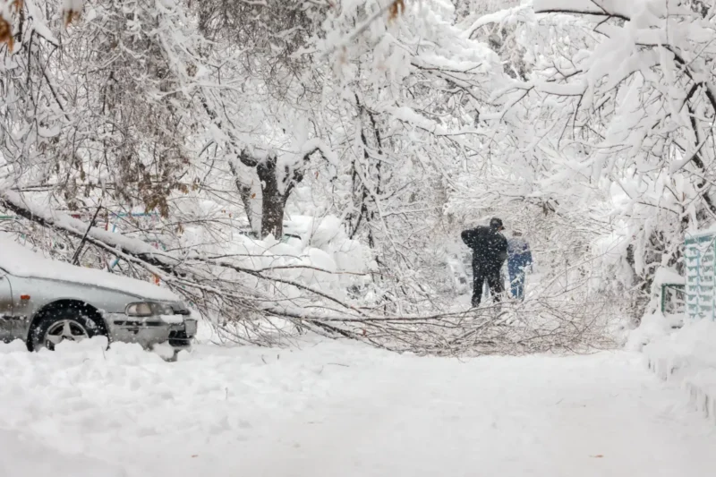 A snowstorm aftermath showing a large tree branch lying across the front of a silver car buried in deep snow. Two figures wearing heavy coats stand down the path.